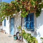 Jolie Quinta à vendre Tavira 11