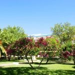 Appartement Studio avec Terrasse et Piscine, à vendre à Cabanas de Tavira, Algarve. Agence Immobilière Portugal Sous Le soleil.