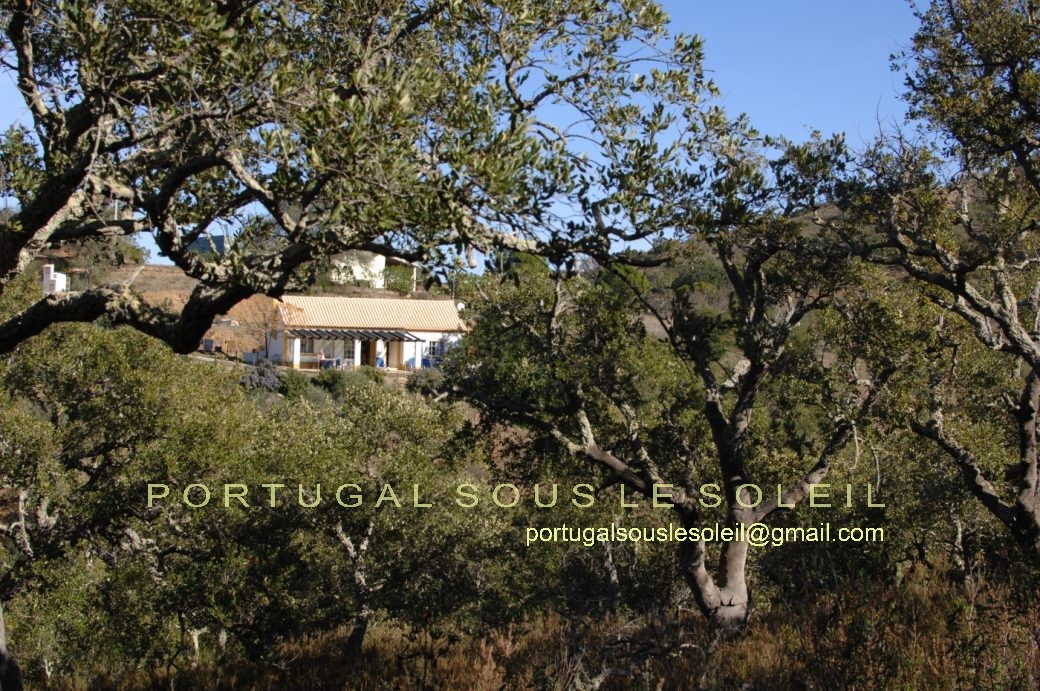 255 Jolie maison de campagne à vendre. Portugal Sous le Soleil, Tavira.25